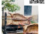 Toronto “Barbecue Bar” fresh skewers takeaway