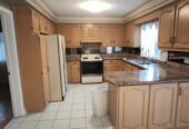 Free cabinets, very good quality