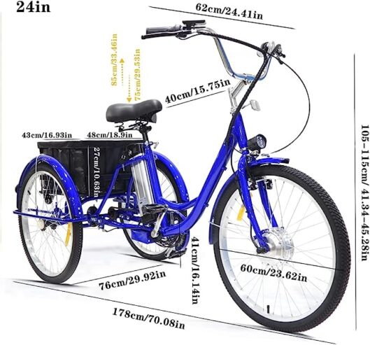 CEFRAX Electric Tricycle, 36V 10Ah Removable Battery 24″