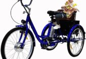 CEFRAX Electric Tricycle, 36V 10Ah Removable Battery 24″