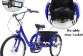 CEFRAX Electric Tricycle, 36V 10Ah Removable Battery 24″
