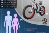YinZhiBoo Electric Bike E-Bike Fat Tire Electric Bicycle 26″